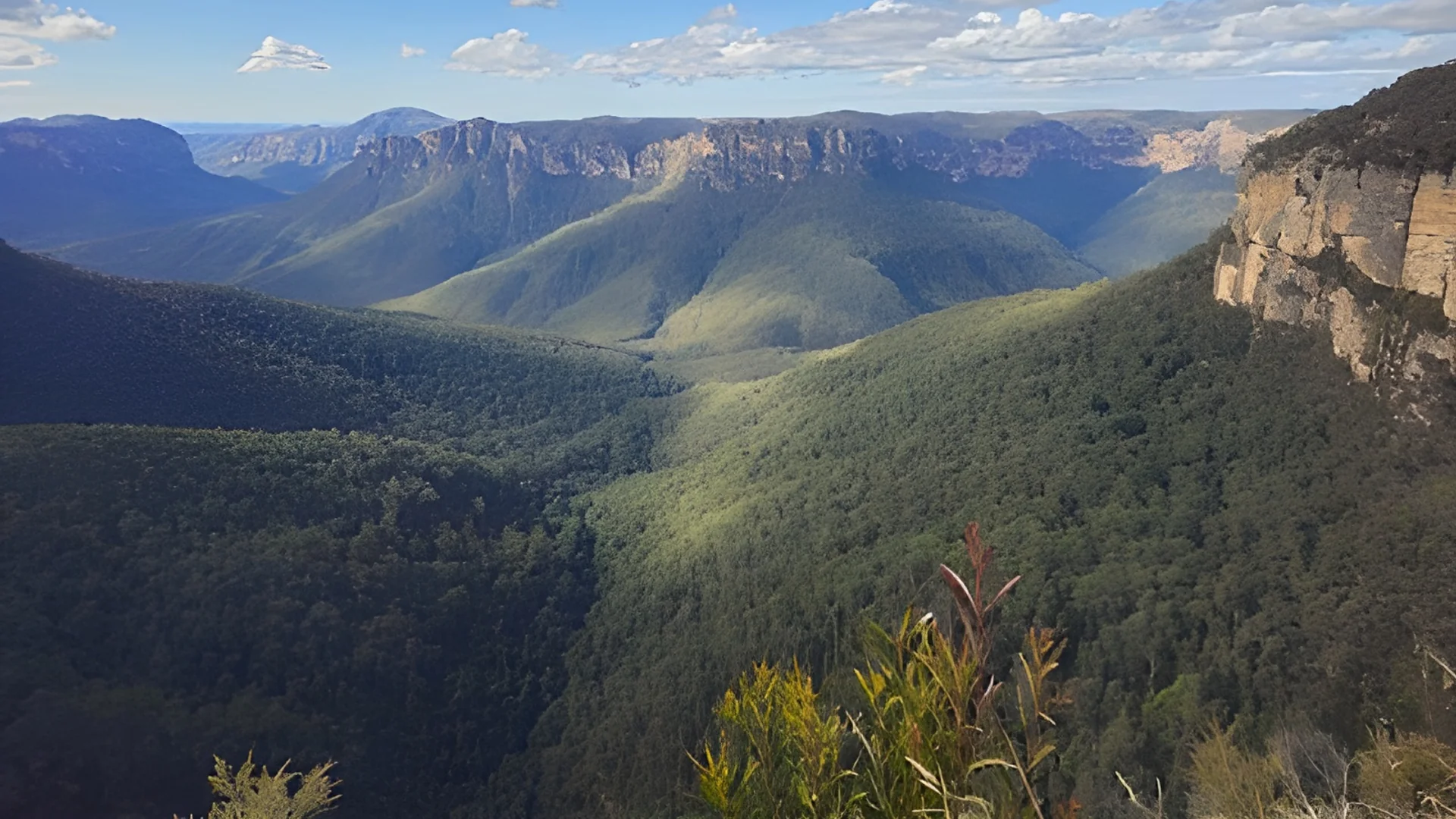 Blue Mountains City Council