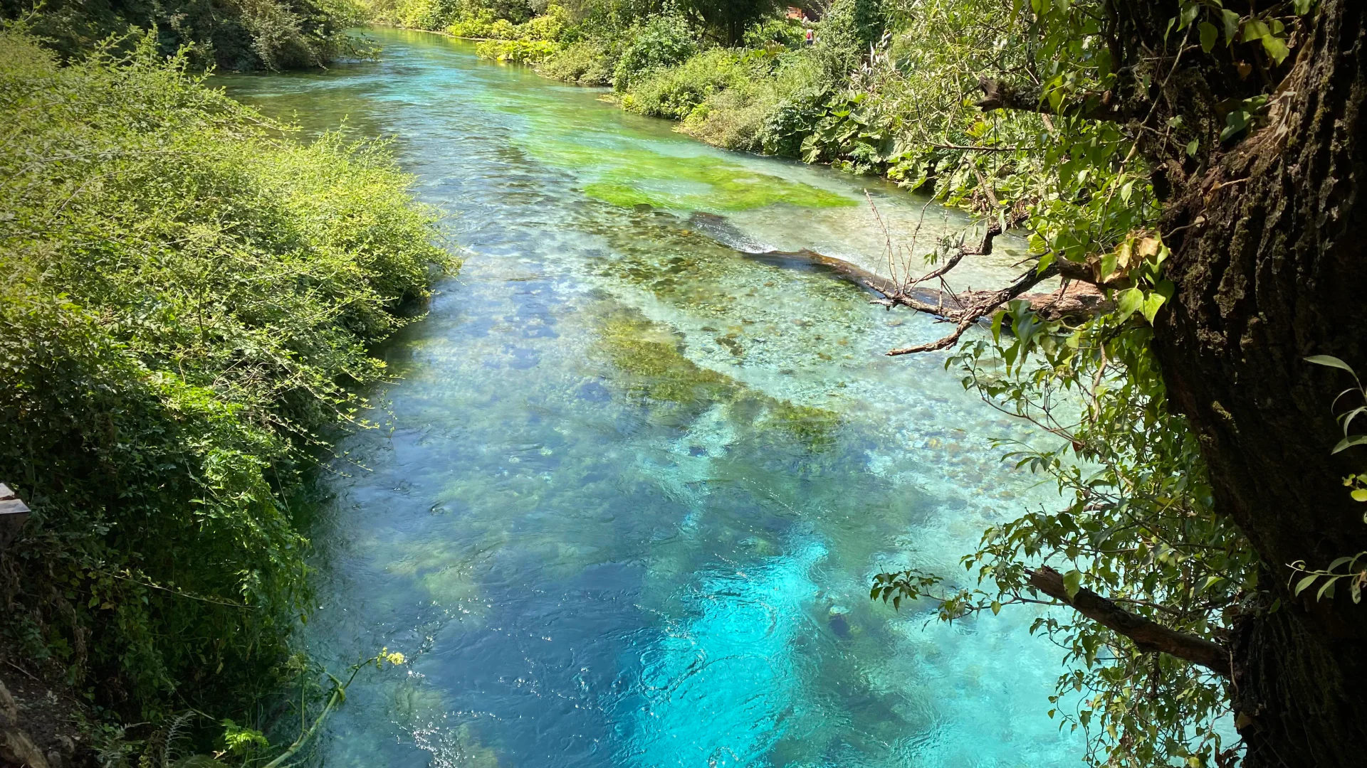 Delvinë