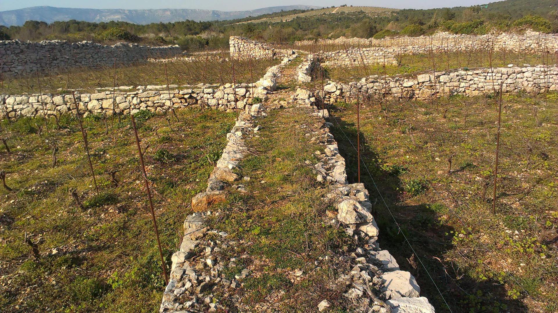Stari Grad