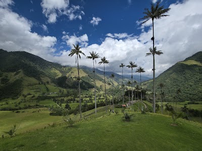 photo de Vallée de Cocora